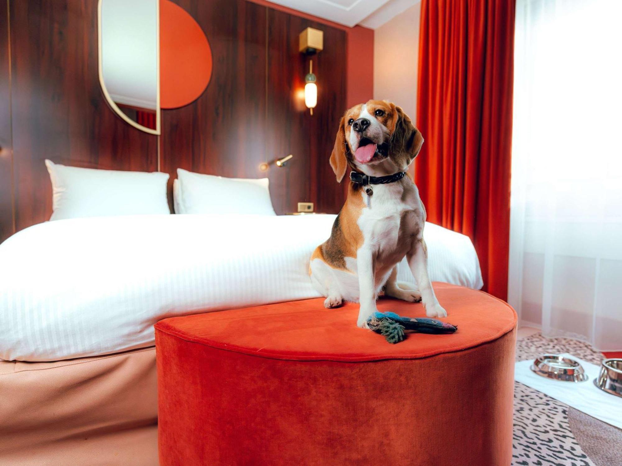 네스트 파리 라 디펜스 쀼또 외부 사진 A dog in a hotel room